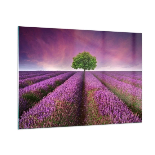 Quadro em vidro - Nos campos de lavanda - 100x70 cm