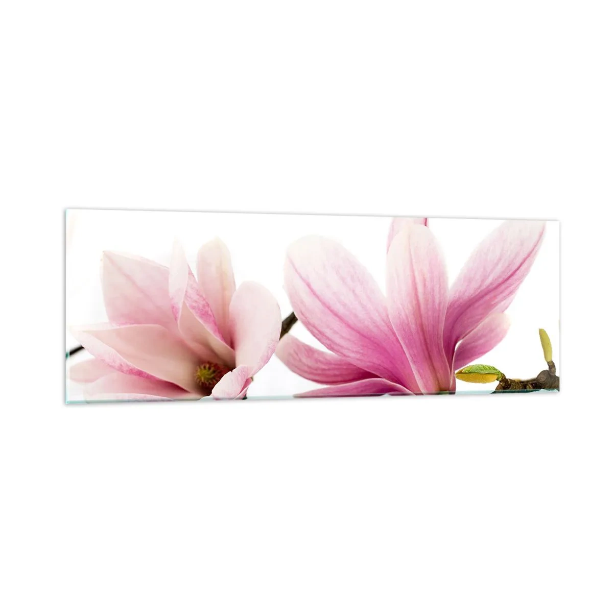 Quadro em vidro - Suave como um sopro de primavera - 90x30 cm