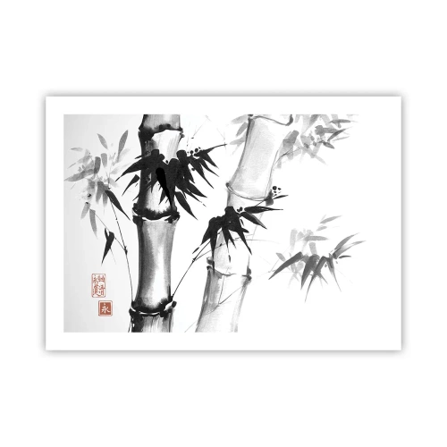 Pôster - Foco no Oriente - 70x50 cm