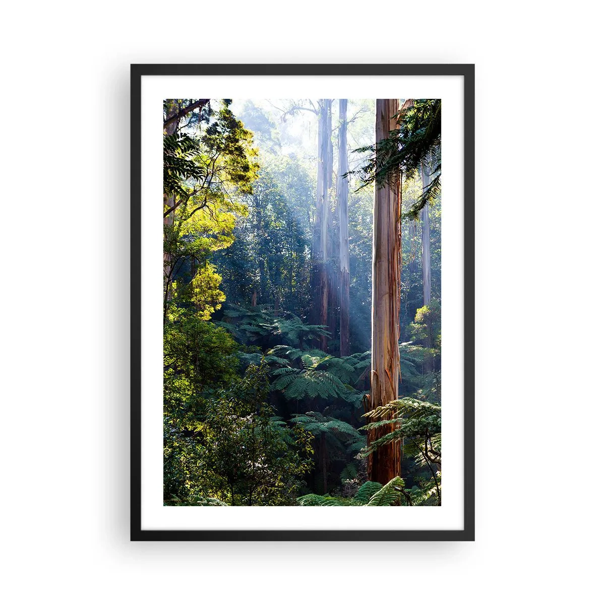Pôster com moldura preta - Floresta tropical iluminada pela luz do sol - 50x70cm - Um conto de fadas da floresta - Decoração de parede moderna para a sala de estar e quarto ARTTOR