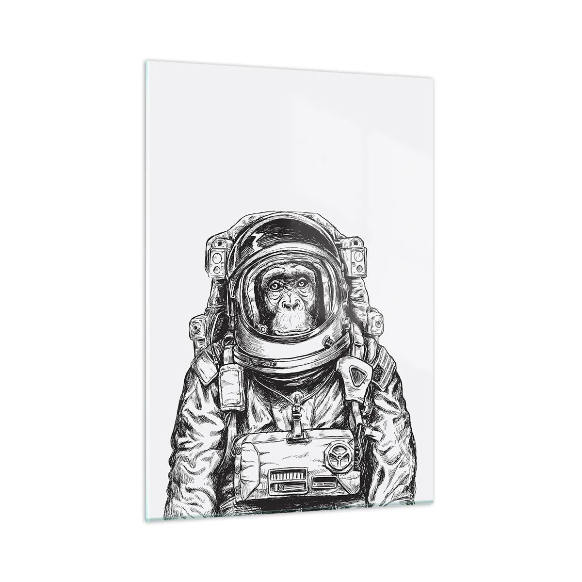 Quadro em vidro - Evolução alternativa - 50x70 cm