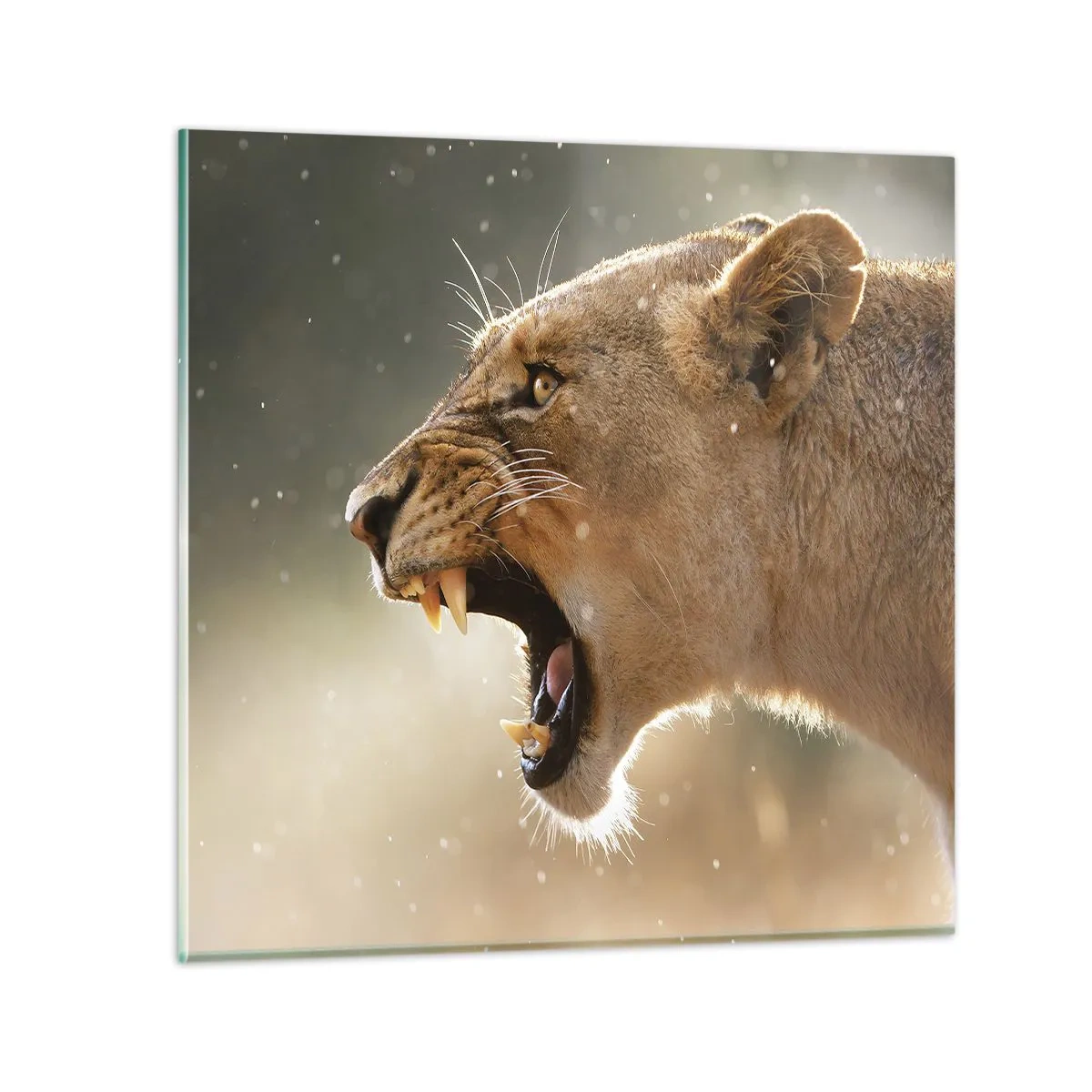 Quadro em vidro - Tente não ouvir - 60x60 cm