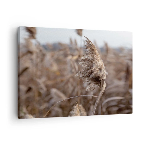 Quadro em tela - Gramíneas delicadas em tons de bege contra o fundo da natureza - 70x50cm - É hora de voar com o vento - Decoração de parede moderna para a sala de estar e quarto ARTTOR