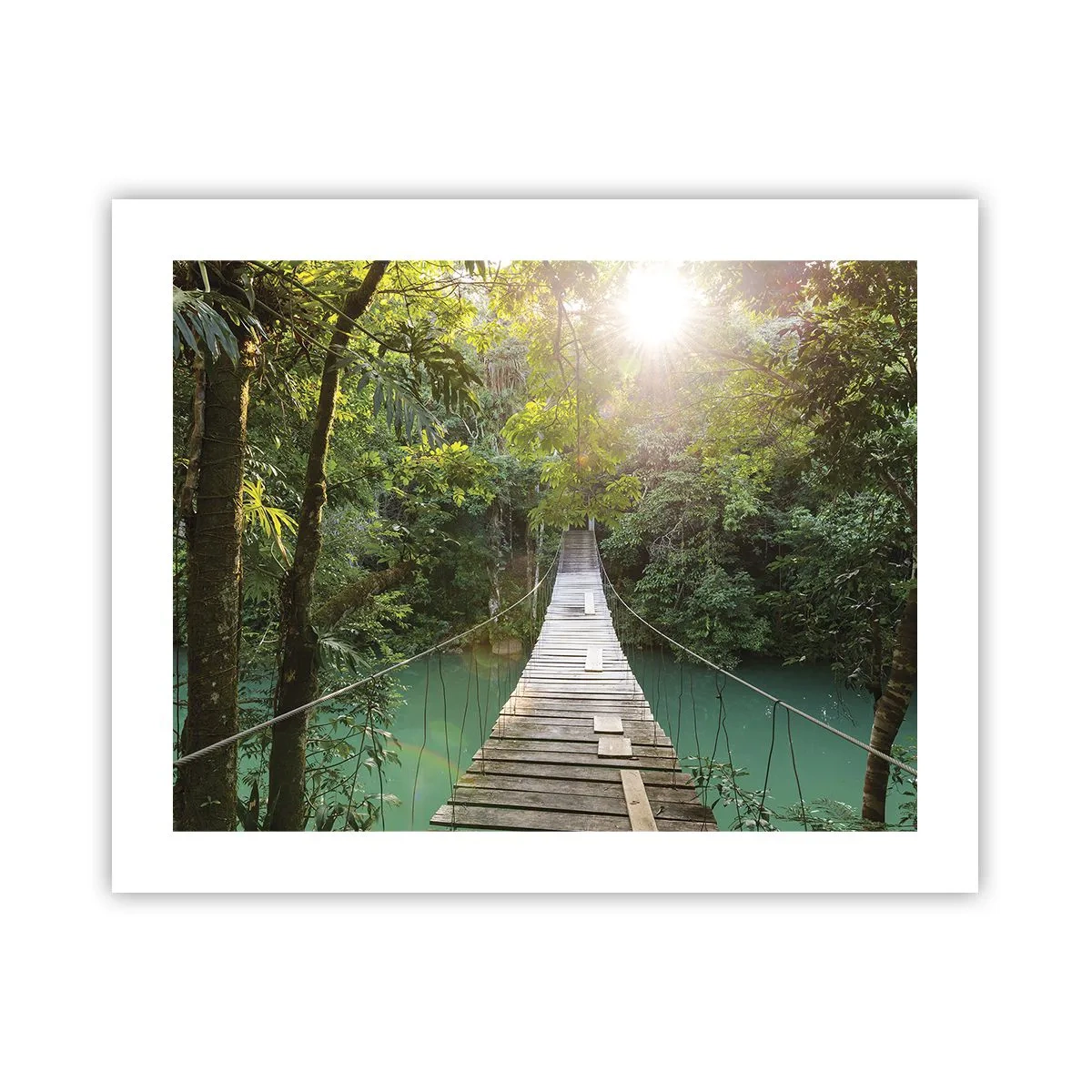 Pôster - Da água azul para a floresta azul - 50x40 cm