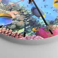 Mostrador com traços