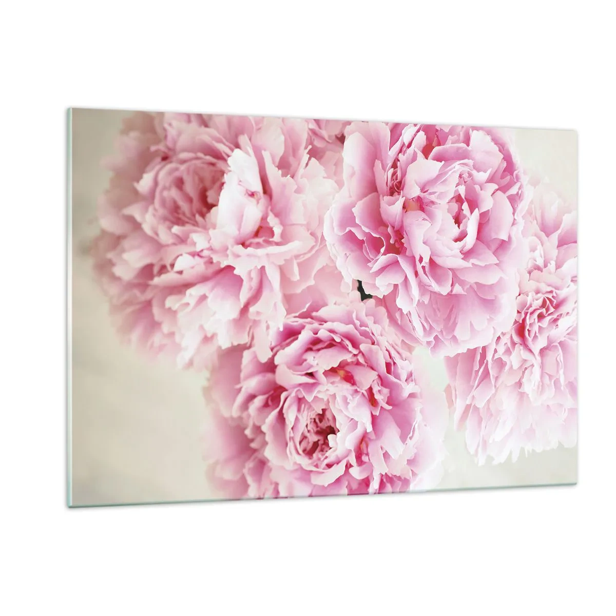 Quadro em vidro - Em esplendor rosa - 120x80 cm