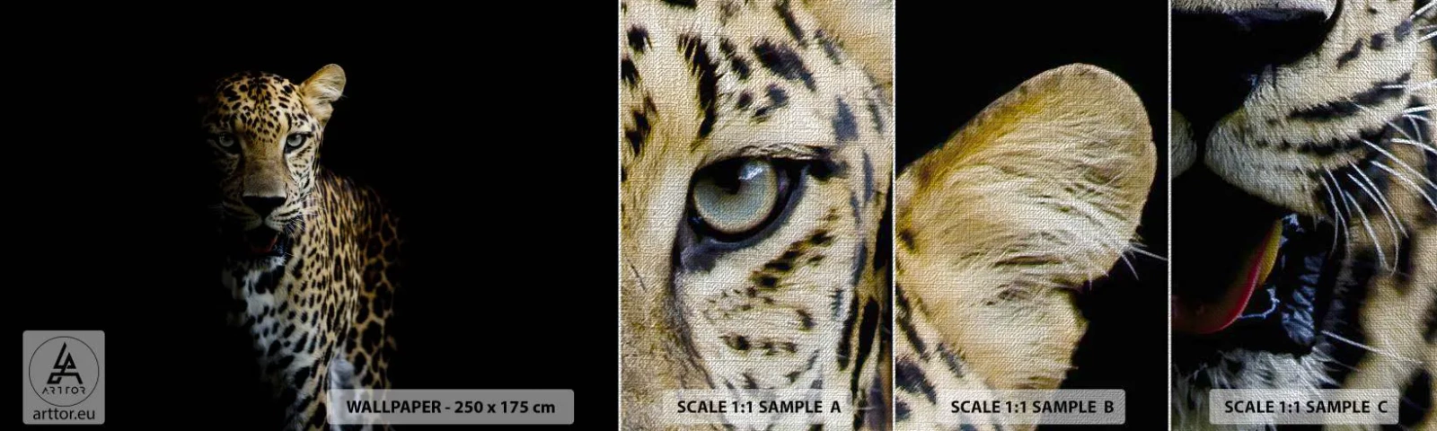 Amostra de papel de parede Premium Canvas - Beleza escura - Animais, leopardo, Gato selvagem - 100x30 cm