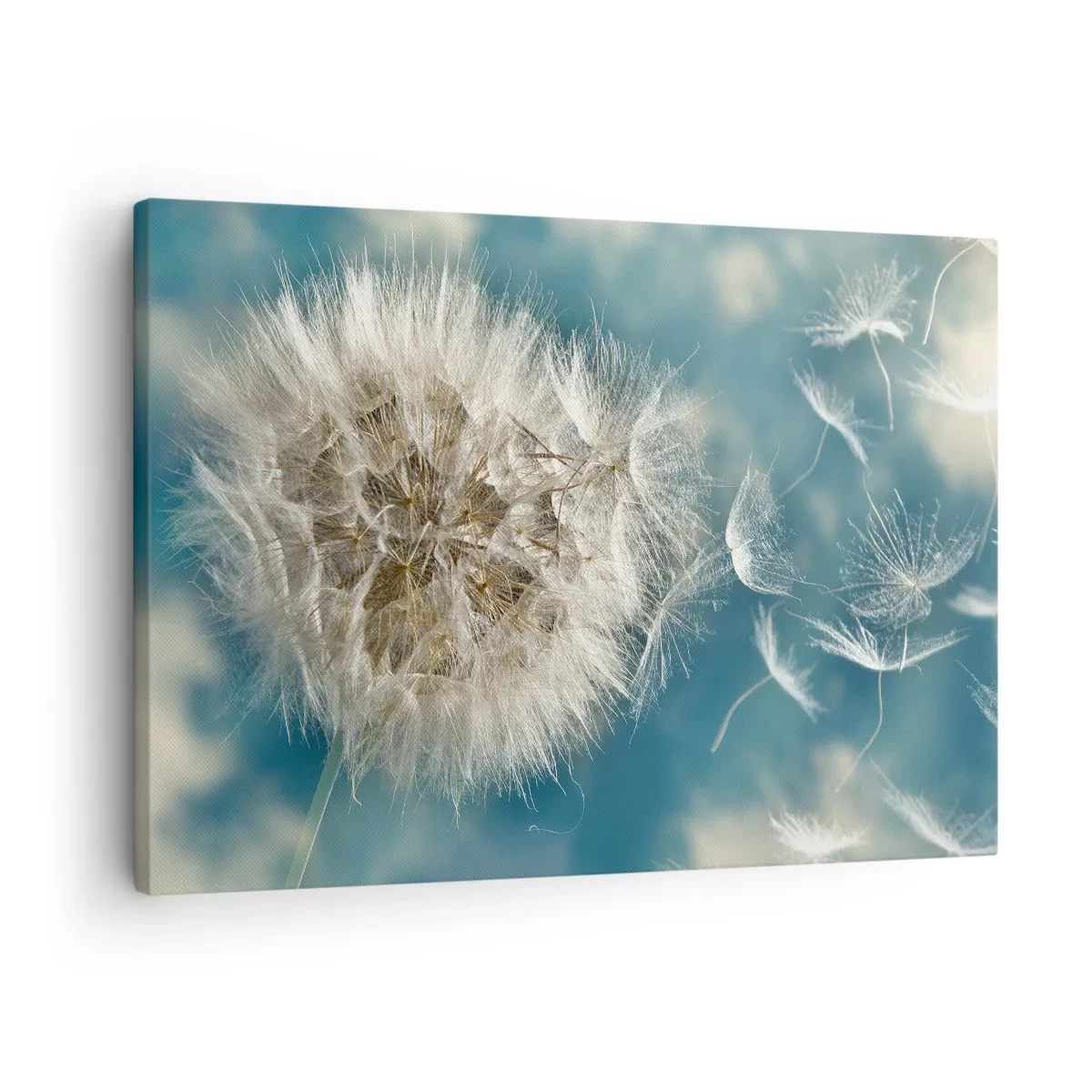 Quadro em tela - Um dente-de-leão explodido contra um céu azul - 70x50cm - Respiração de um anjo - Decoração de parede moderna para a sala de estar e quarto ARTTOR
