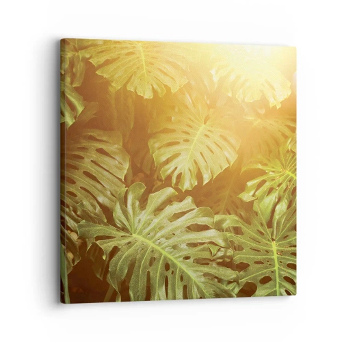 Quadro em tela - Um mergulho na vegetação - 30x30 cm