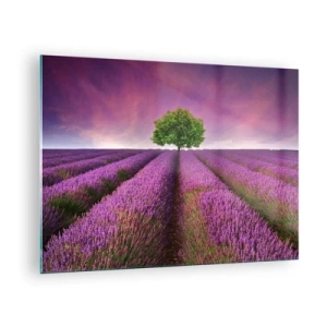 Quadro em vidro - Um campo de lavanda com uma árvore solitária contra o céu - 70x50cm - Nos campos de lavanda - Decoração de parede moderna para a sala de estar e quarto ARTTOR