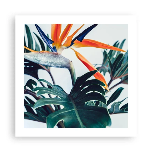 Pôster - Arbusto de passarinho - 50x50 cm