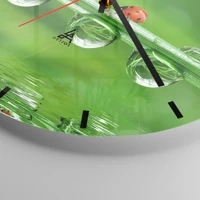 Mostrador com traços