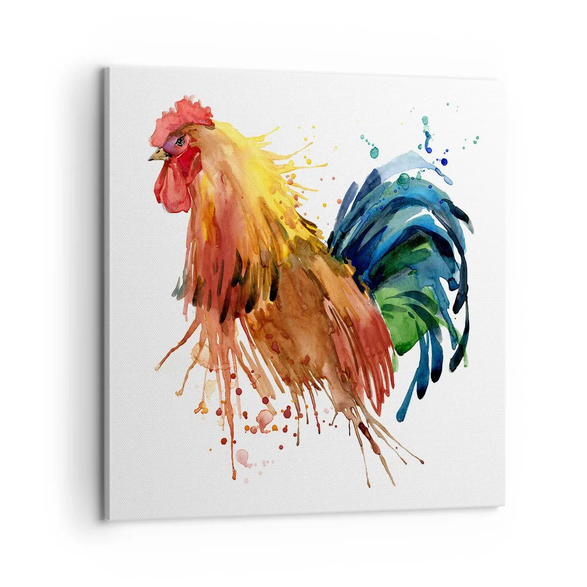 Quadro em tela - Manto real, orgulho real - 60x60 cm