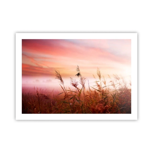 Pôster - Papagaios, balões, vento - 70x50 cm