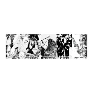 Amostra de Papel de Parede Standard Eco - Outono a preto e branco - Abstração, Flores, Gráficos - 100x30 cm