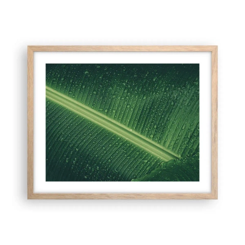 Pôster com moldura de carvalho claro - A estrutura da vegetação - 50x40 cm