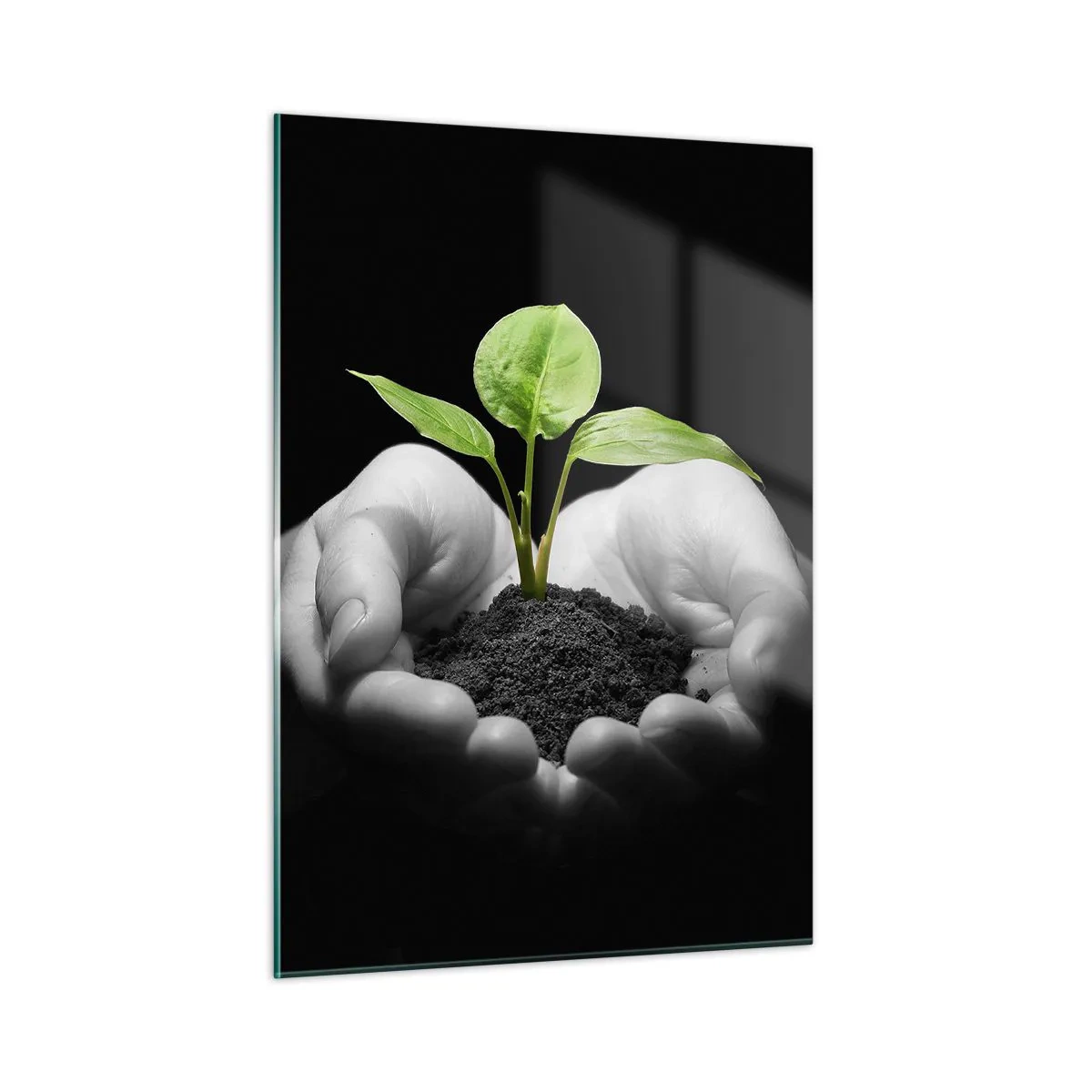 Quadro em vidro - Eu amo a natureza, eu a protejo - 50x70 cm