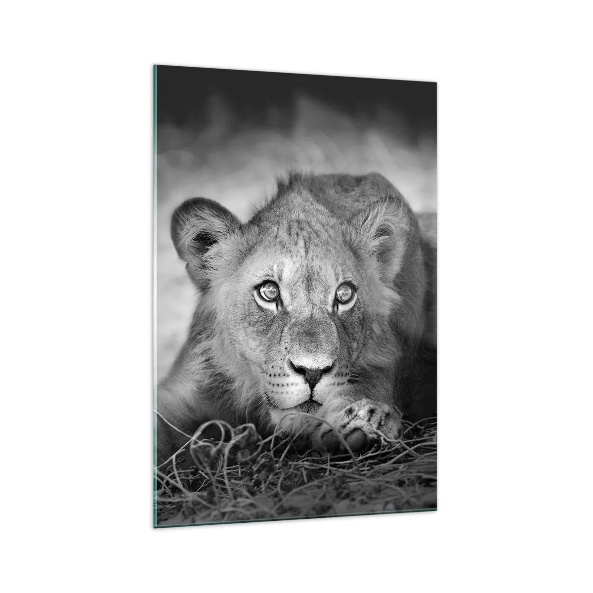 Quadro em vidro - Cachorro real - 70x100 cm