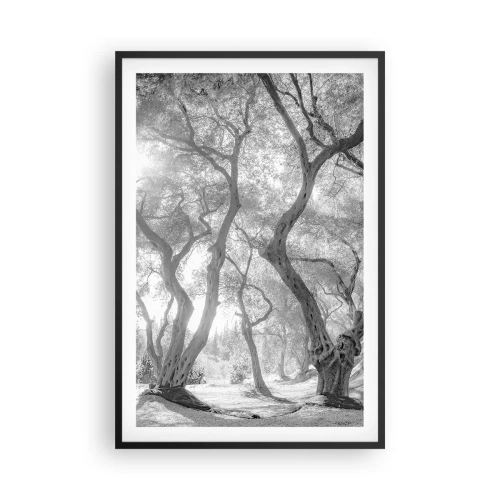 Pôster com moldura preta - No olival - 61x91 cm