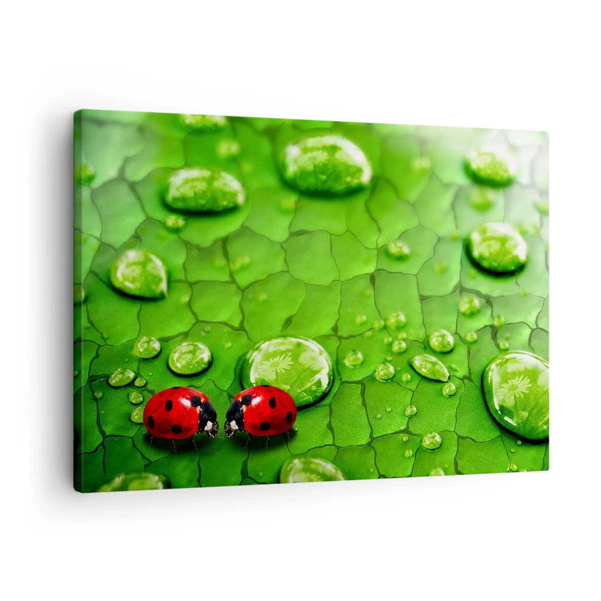 Quadro em tela - Duas joaninhas em uma folha com gotas de água em fotografia macro - 70x50cm - Reunião em verde - Decoração de parede moderna para a sala de estar e quarto ARTTOR