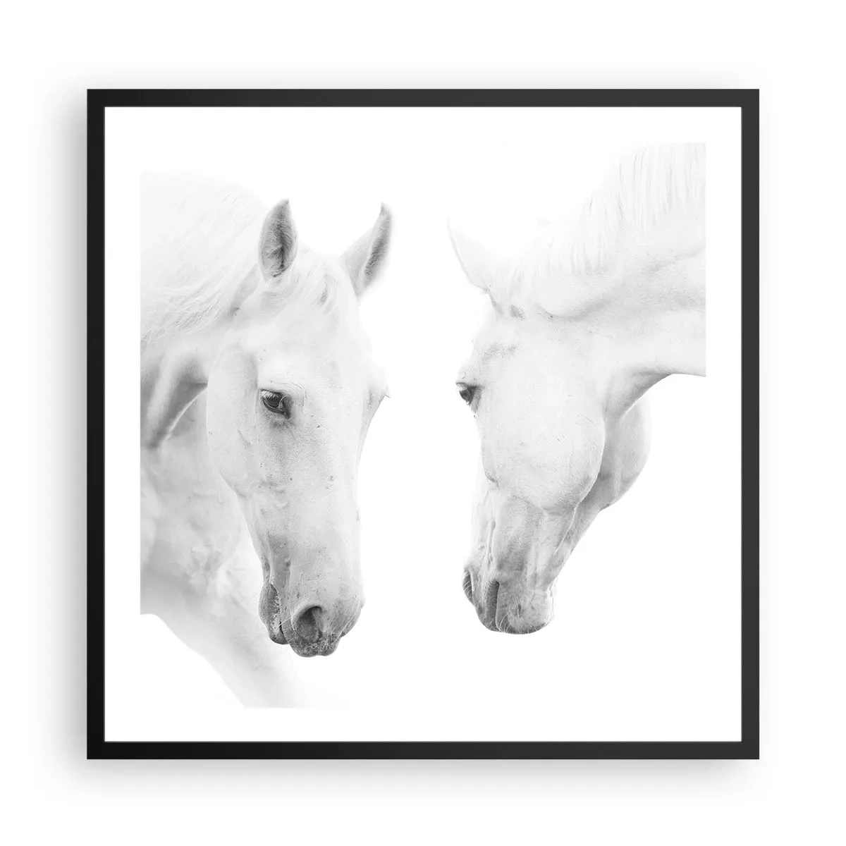 Pôster com moldura preta - Será amizade...? - 60x60 cm