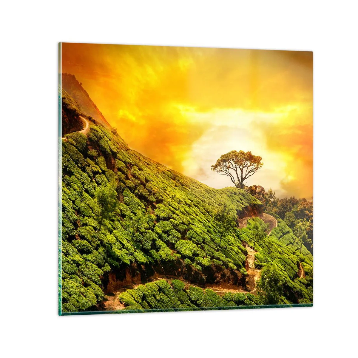 Quadro em vidro - Um caminho sinuoso, uma encosta verde - 50x50 cm