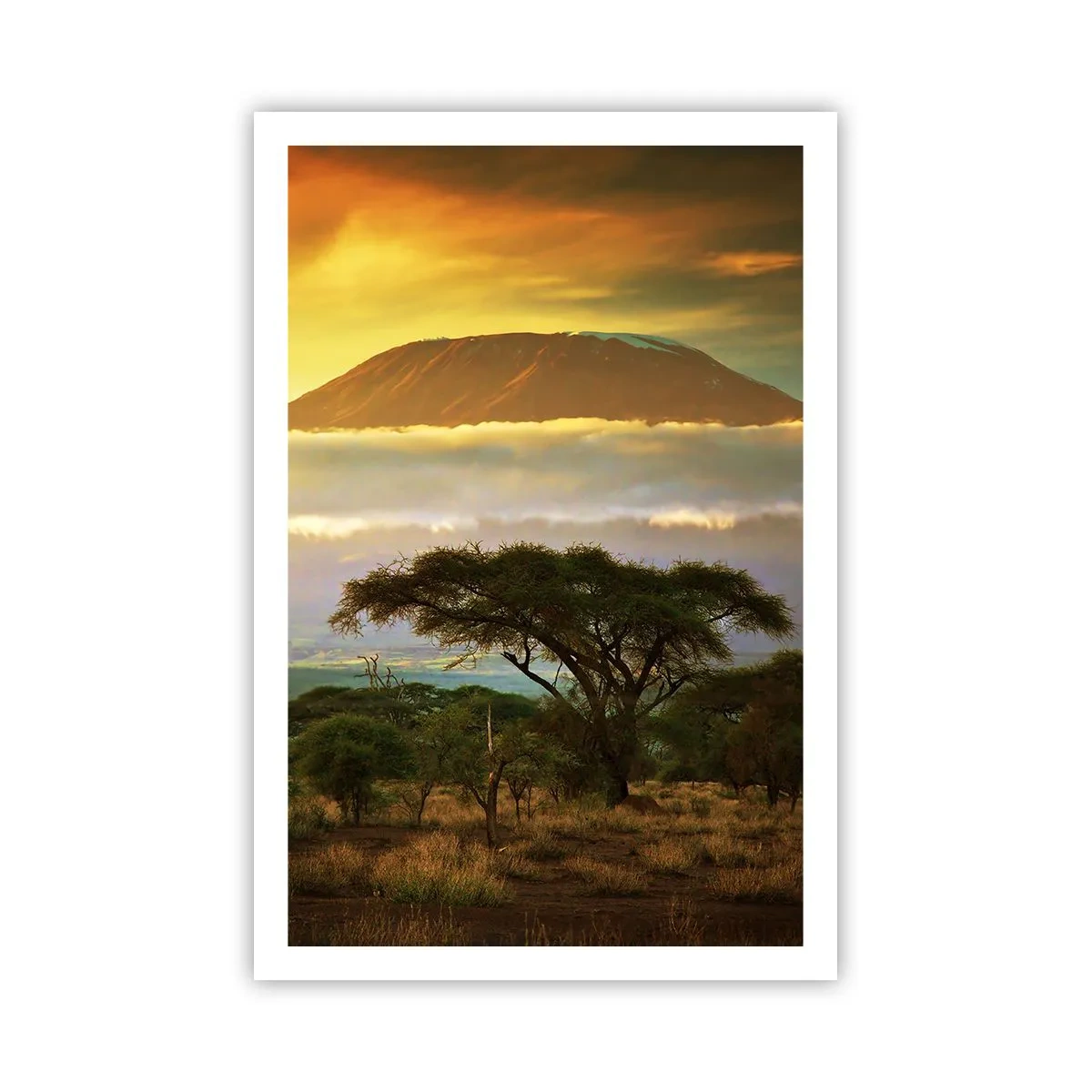 Pôster - O sonho do viajante - 61x91 cm