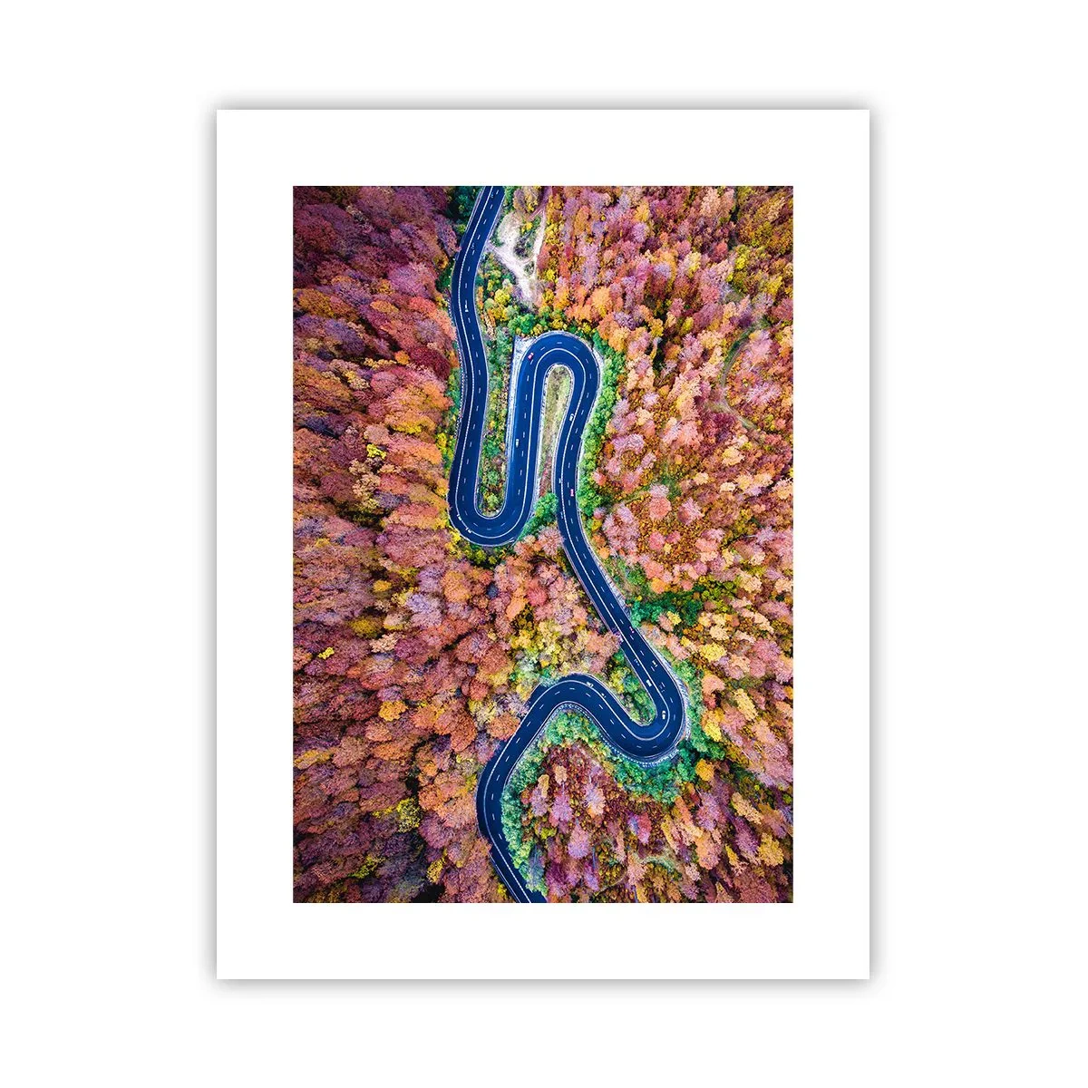 Pôster - Estrada sinuosa pela floresta - 30x40 cm