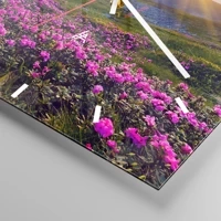 Mostrador com traços