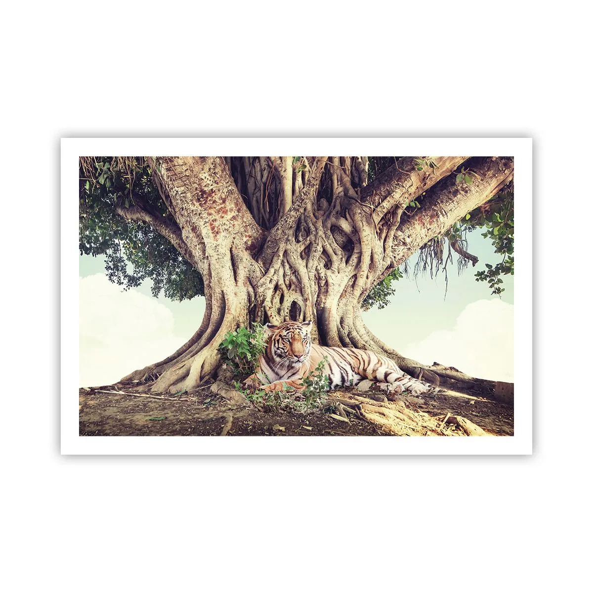 Pôster - Vista do livro de Gênesis - 91x61 cm