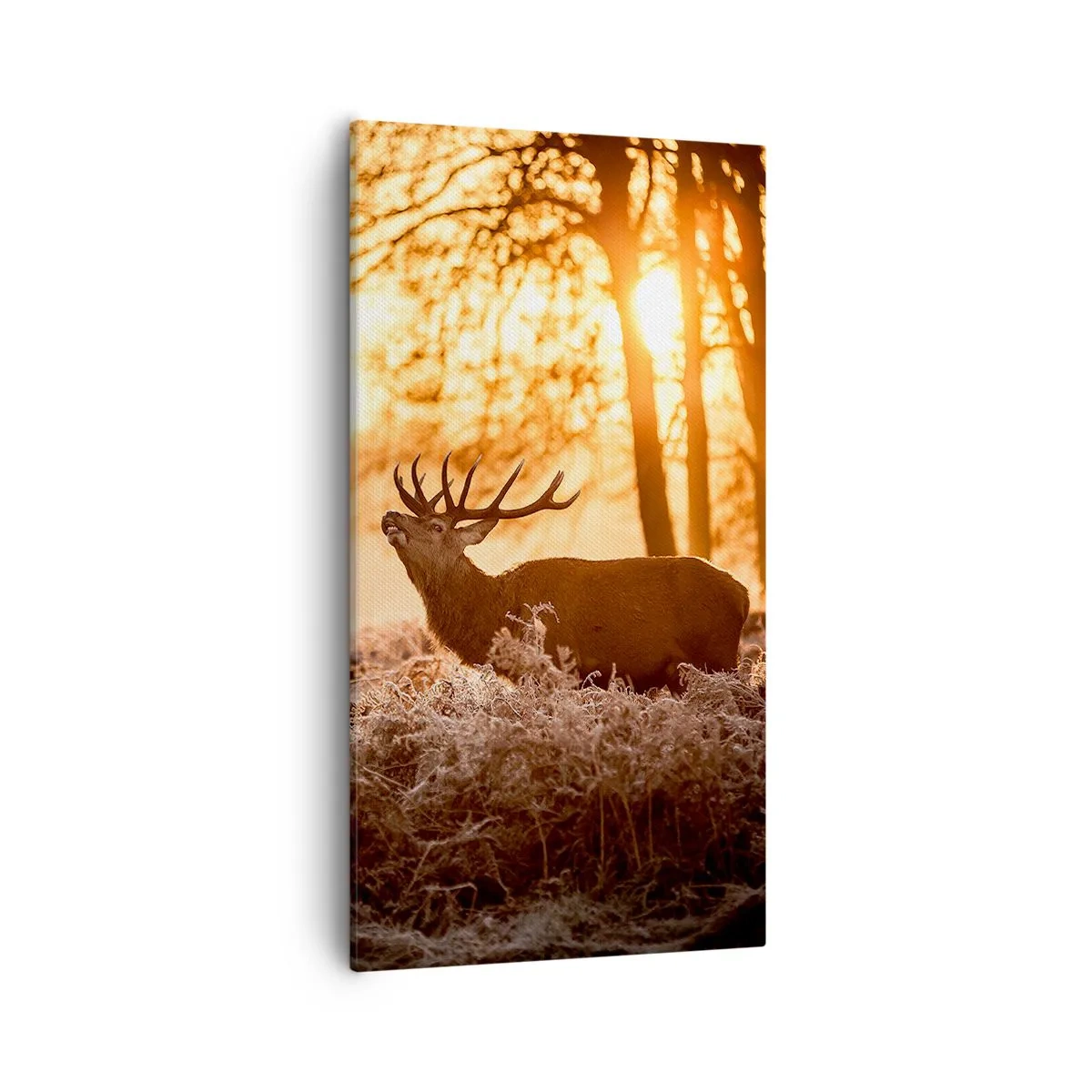 Quadro em tela - O sonho do caçador - 55x100 cm