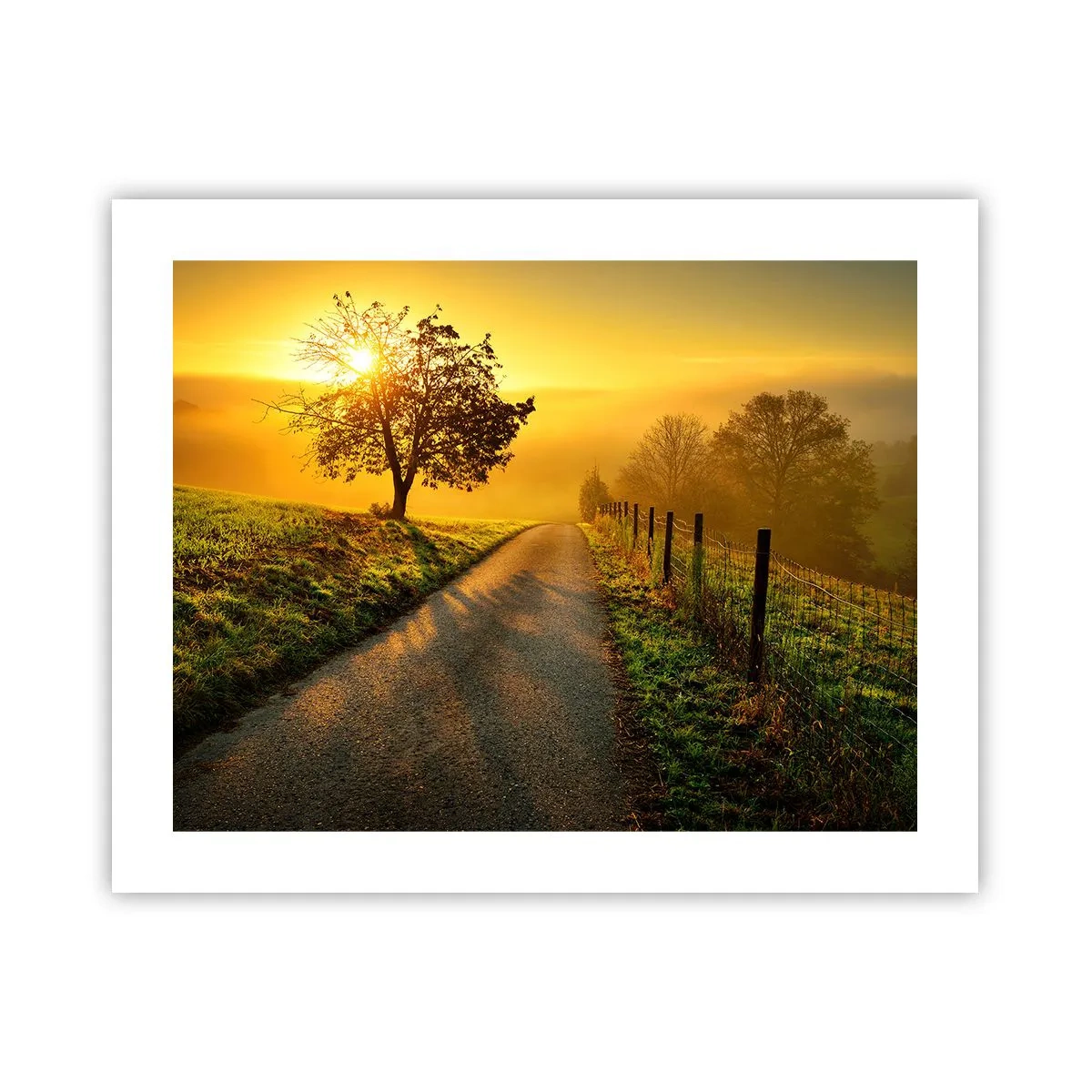 Pôster - Uma tarde agradável - 50x40 cm