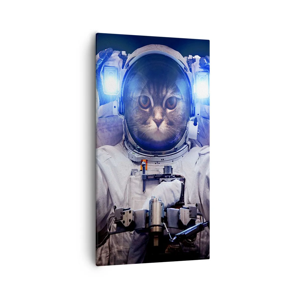 Quadro em tela - Houston, temos um problema - 55x100 cm