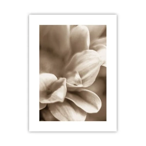 Pôster - Gentil como um sorriso - 30x40 cm