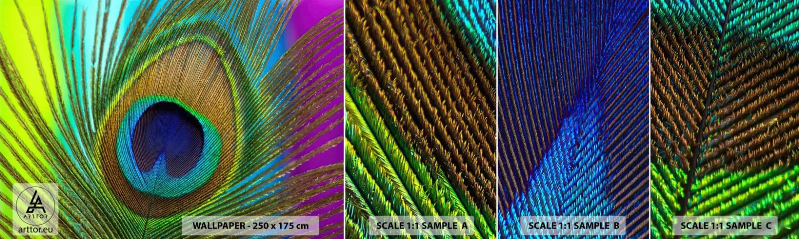 Amostra de Papel de Parede Standard Eco - Olho no olho - Abstração, Pena de pavão, Pedaço - 100x30 cm