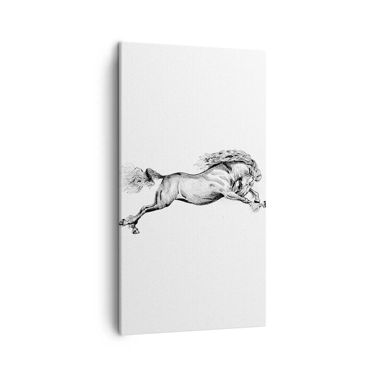 Quadro em tela - Parado a galope - 45x80 cm