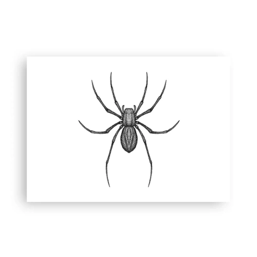 Pôster - Precisão perturbadora - 70x50 cm