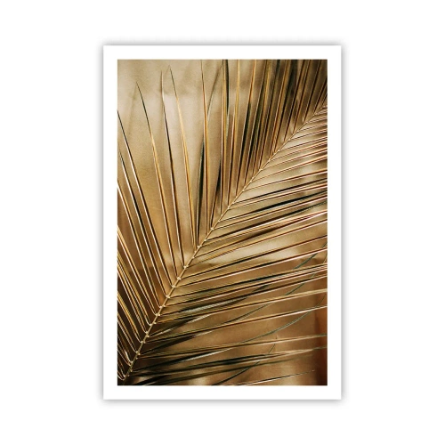 Pôster - Colunata natural - 61x91 cm