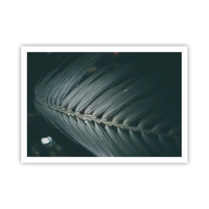 Pôster - A precisão da natureza - 100x70 cm