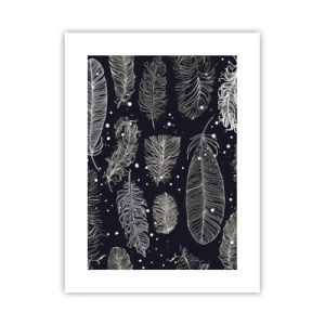 Pôster - Rendas de penas - 30x40 cm