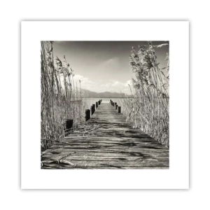 Pôster - No silêncio da relva - 30x30 cm