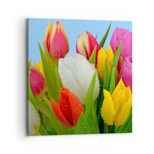 Quadro em tela - Arco-íris floral em gotas de orvalho - 70x70 cm