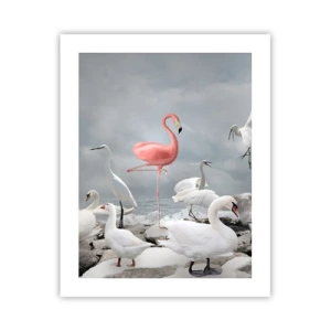 Pôster - Como vim parar aqui? - 40x50 cm