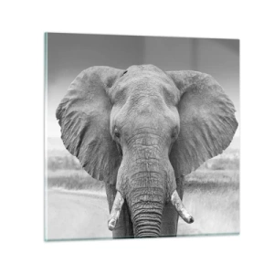 Quadro em vidro - Bem-vindo ao meu mundo - 70x70 cm