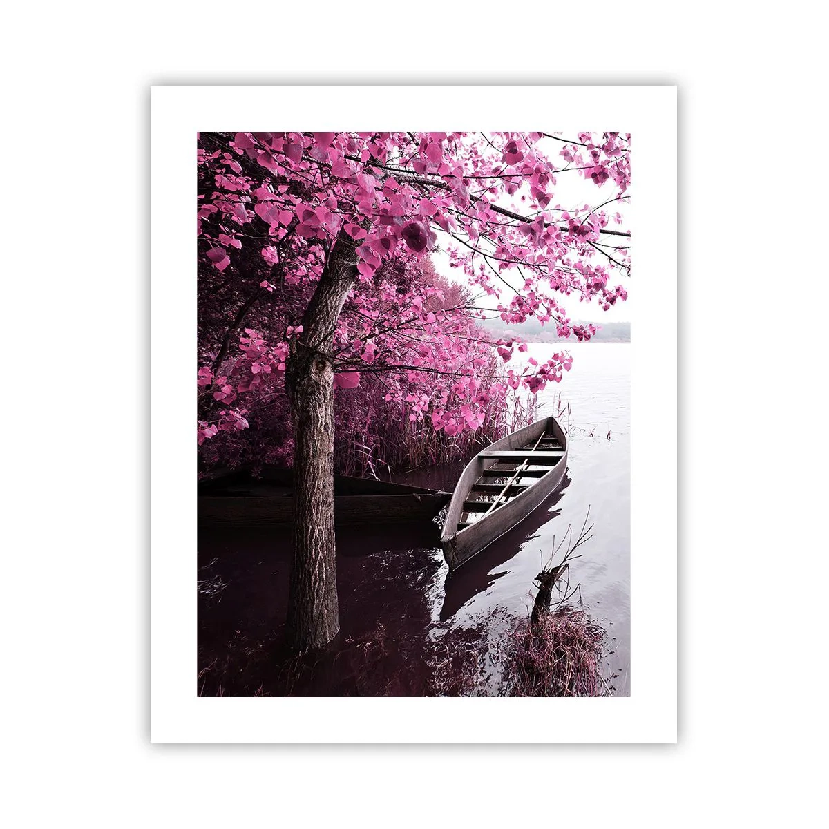 Pôster - Em silêncio cor-de-rosa - 40x50 cm