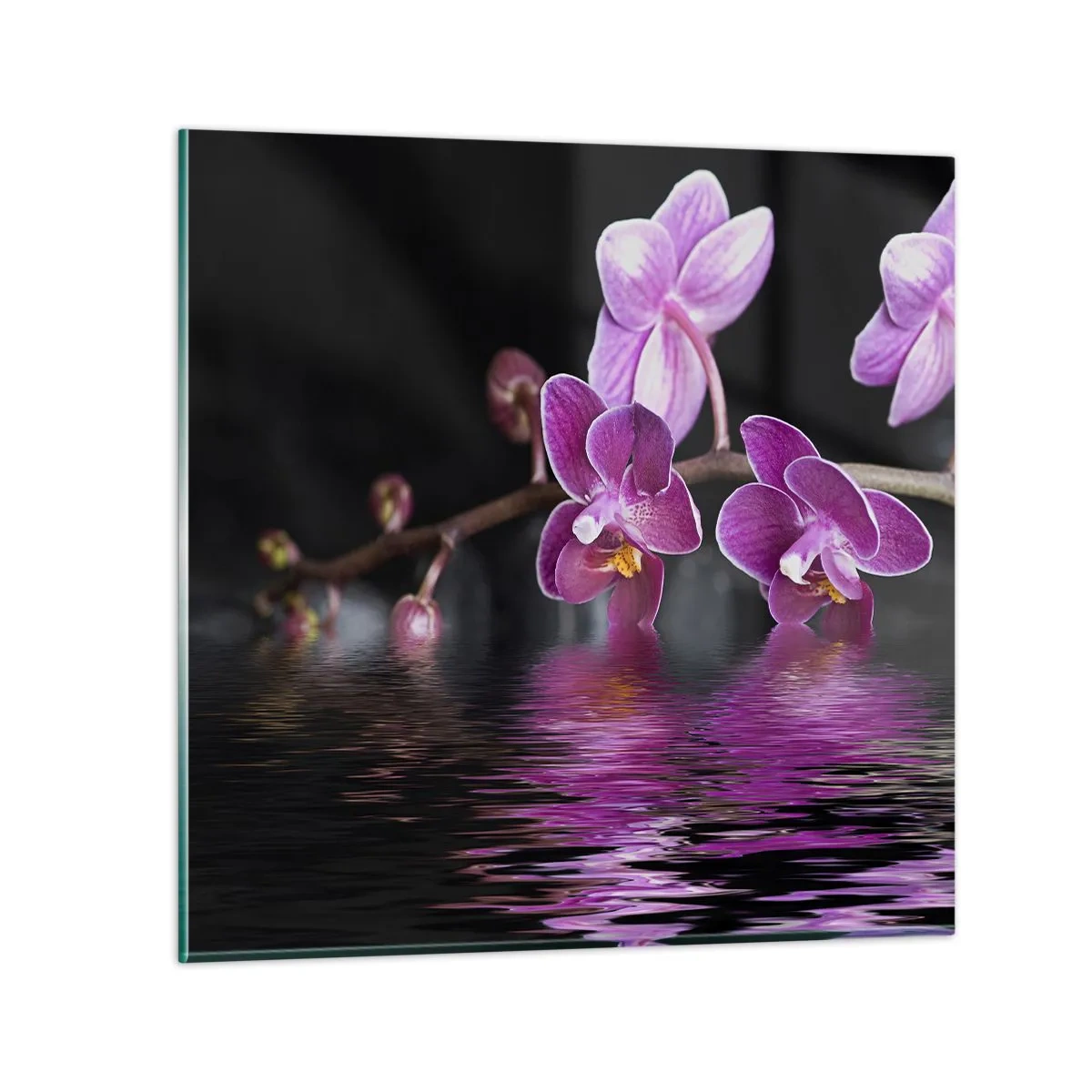 Quadro em vidro - Reflexo lilás da beleza - 30x30 cm