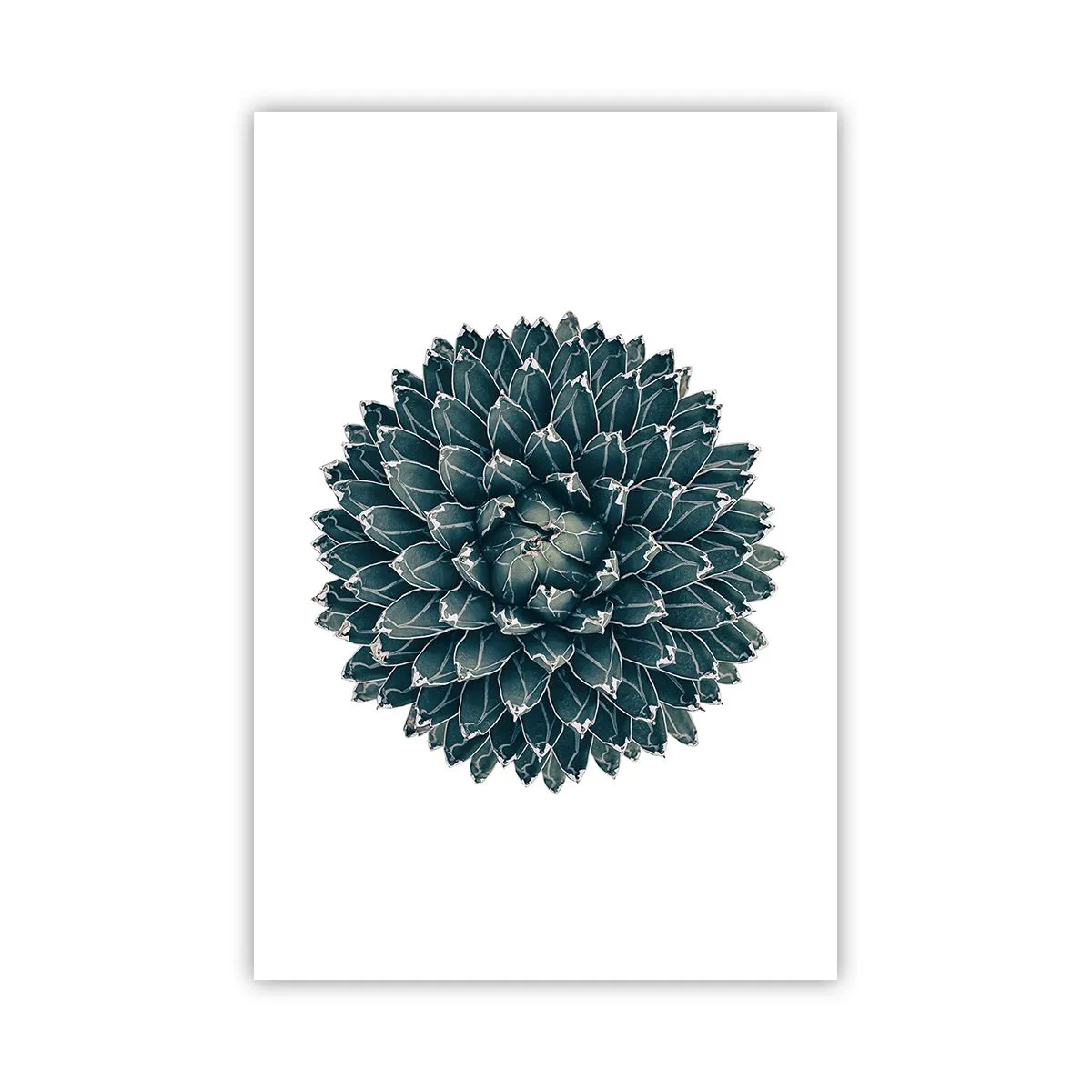 Pôster - Estrela do Deserto - 61x91 cm