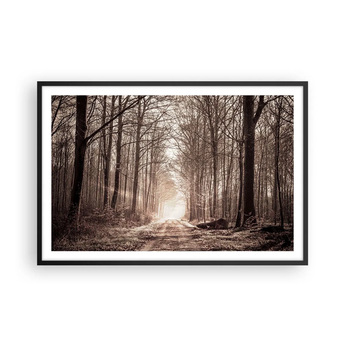 Pôster com moldura preta - Catedral na Floresta - 91x61 cm