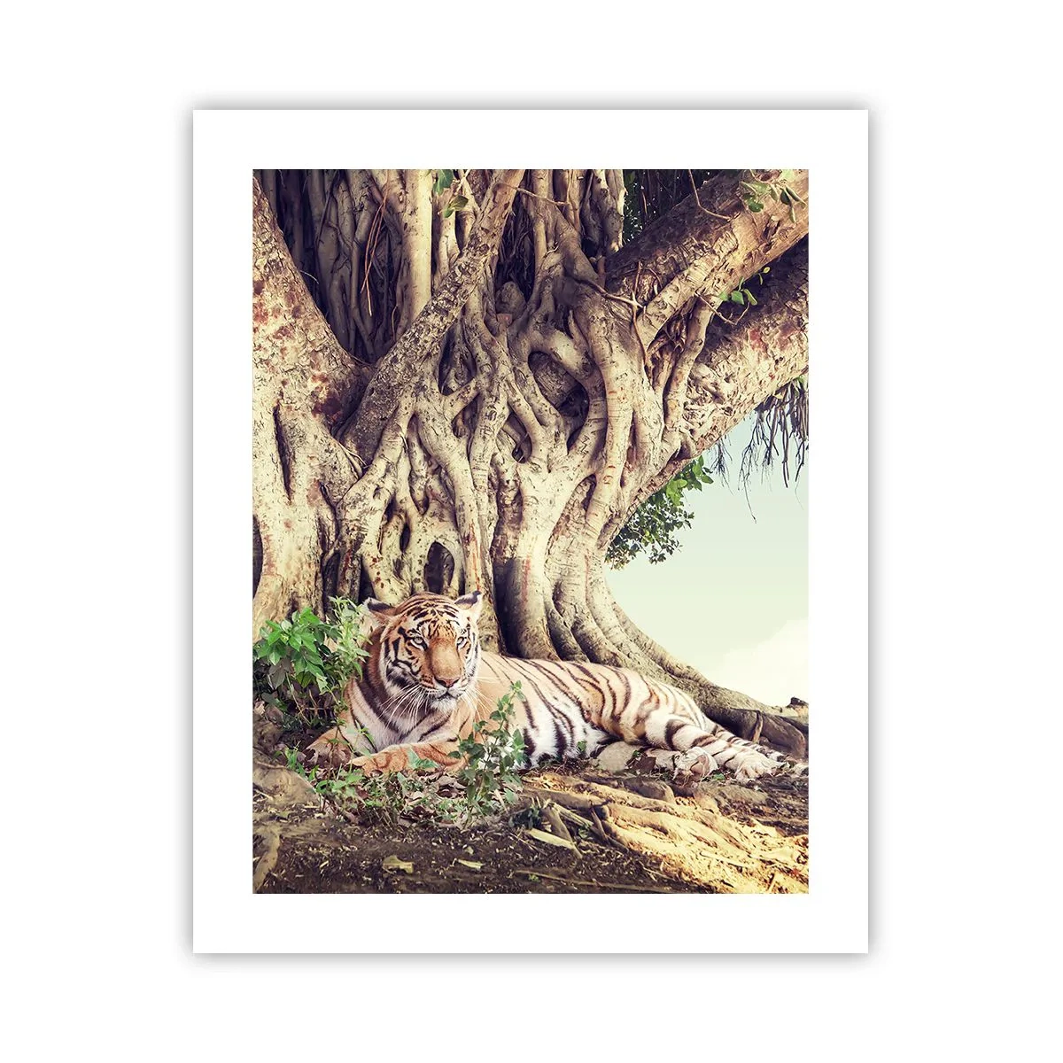 Pôster - Vista do livro de Gênesis - 40x50 cm