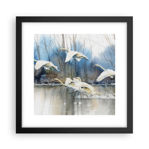 Pôster com moldura preta - Como no conto de fadas sobre cisnes selvagens - 30x30 cm